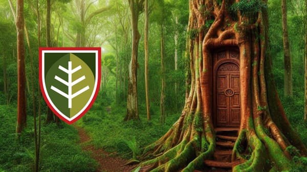 Una escuela en el bosque 1
